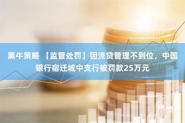 黑牛策略 【监管处罚】因流贷管理不到位，中国银行宿迁城中支行被罚款25万元