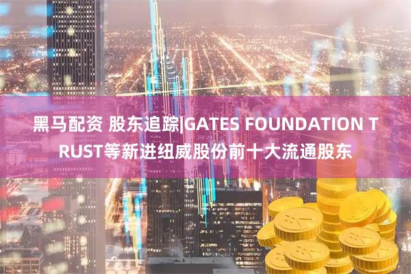 黑马配资 股东追踪|GATES FOUNDATION TRUST等新进纽威股份前十大流通股东