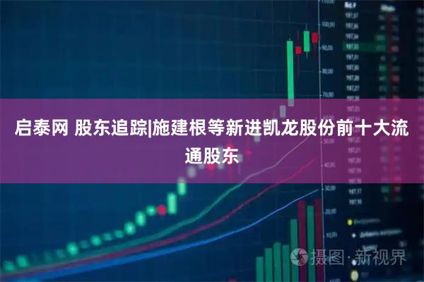 启泰网 股东追踪|施建根等新进凯龙股份前十大流通股东